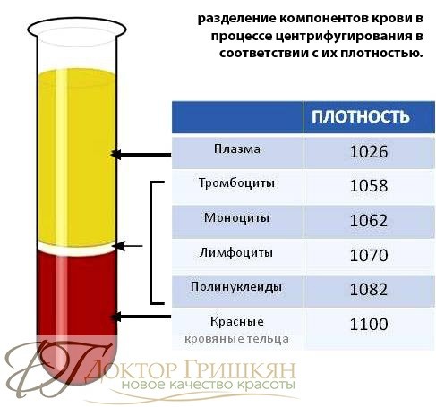 Разделение компонентов крови для PRP